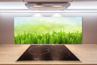 Kitchen splashback Grass