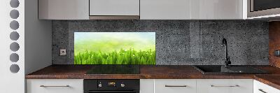 Kitchen splashback Grass