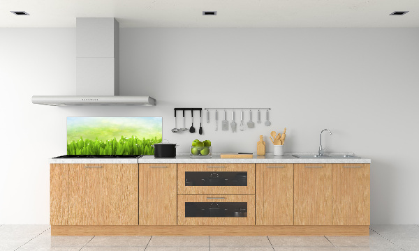 Kitchen splashback Grass