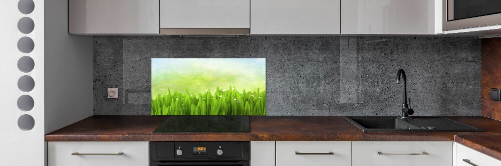 Kitchen splashback Grass