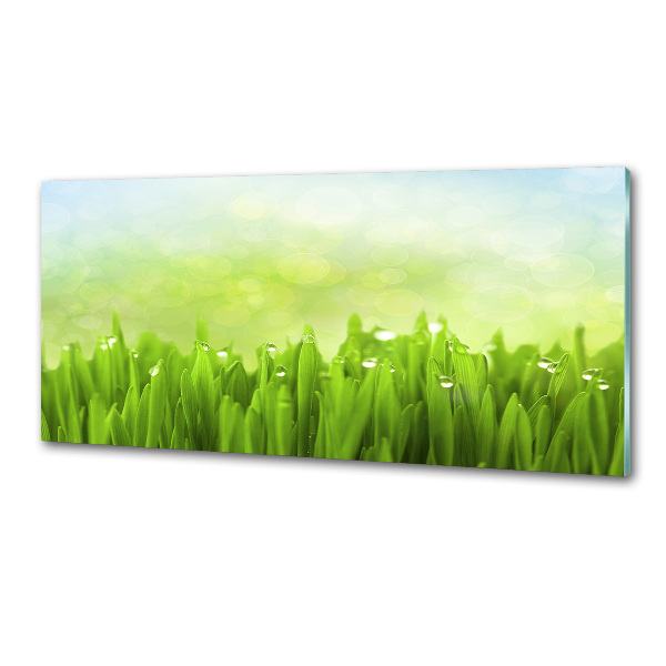 Kitchen splashback Grass