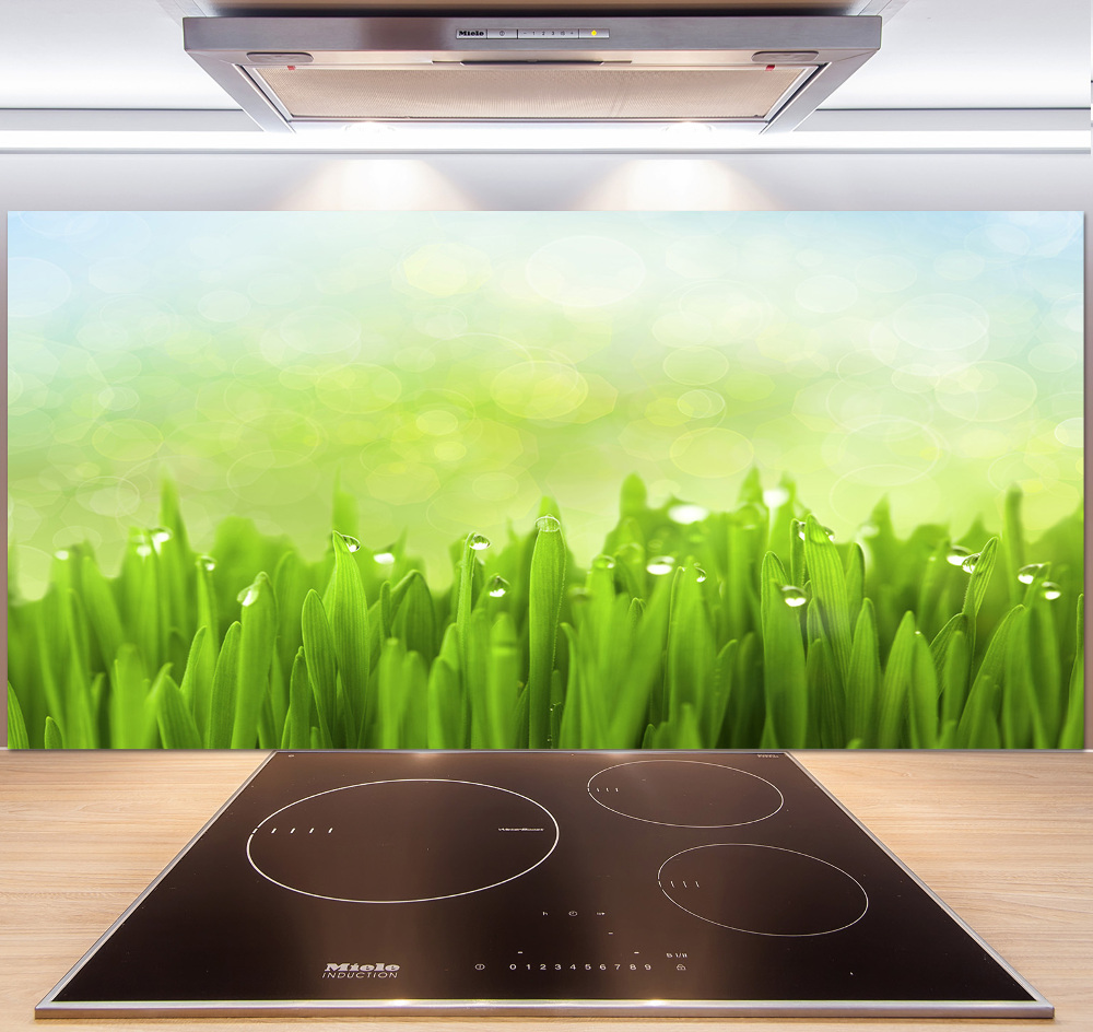 Kitchen splashback Grass