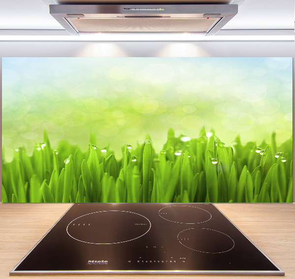 Kitchen splashback Grass