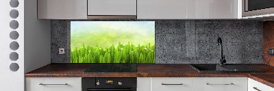 Kitchen splashback Grass