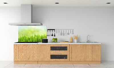 Kitchen splashback Grass