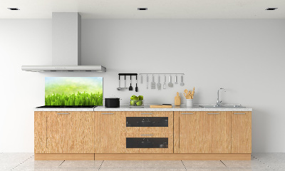 Kitchen splashback Grass