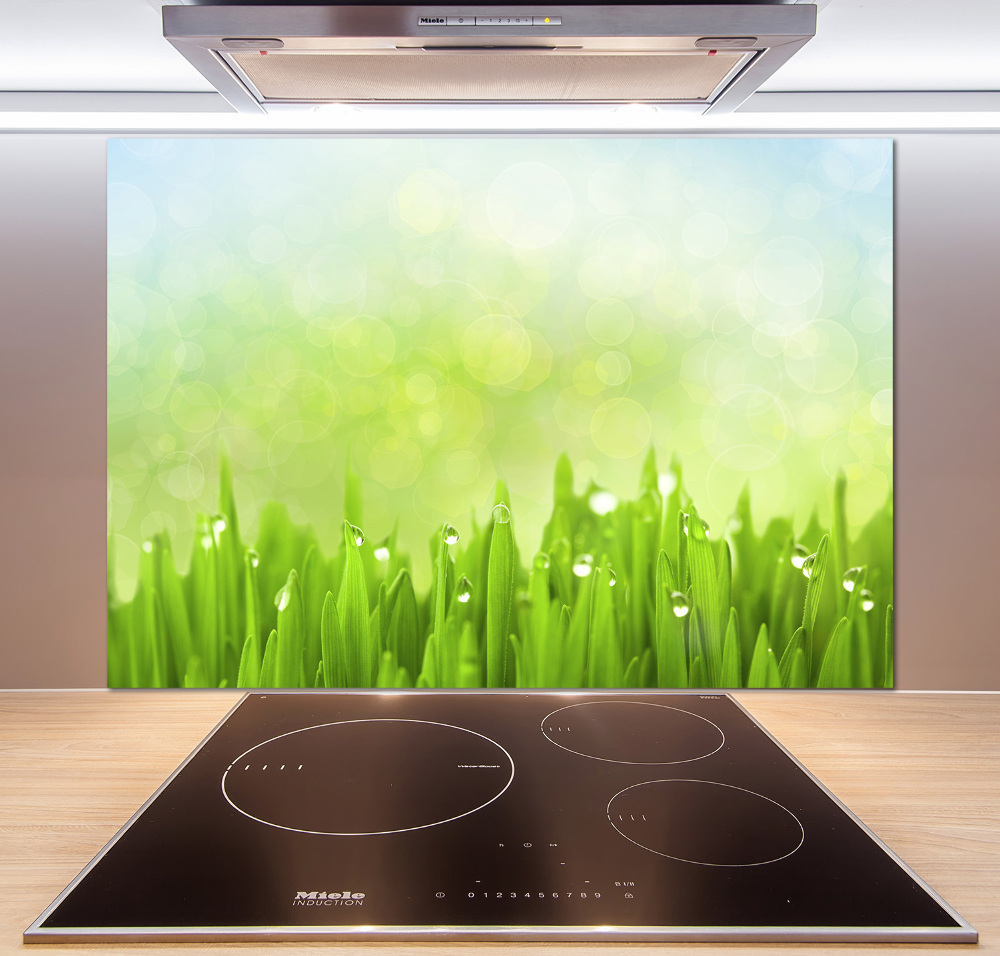 Kitchen splashback Grass