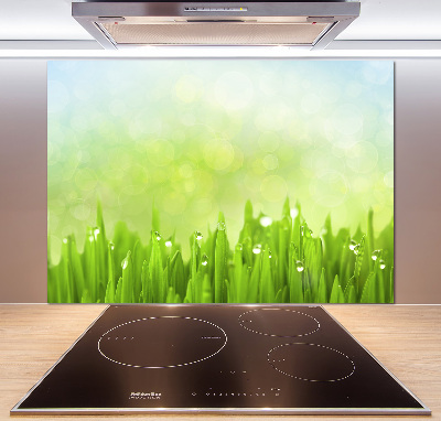 Kitchen splashback Grass