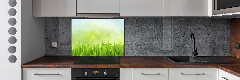 Kitchen splashback Grass