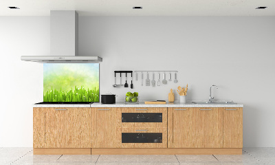 Kitchen splashback Grass