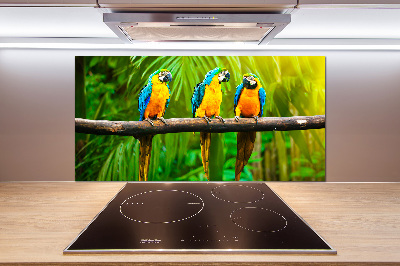 Cooker splashback Parrots on a branch