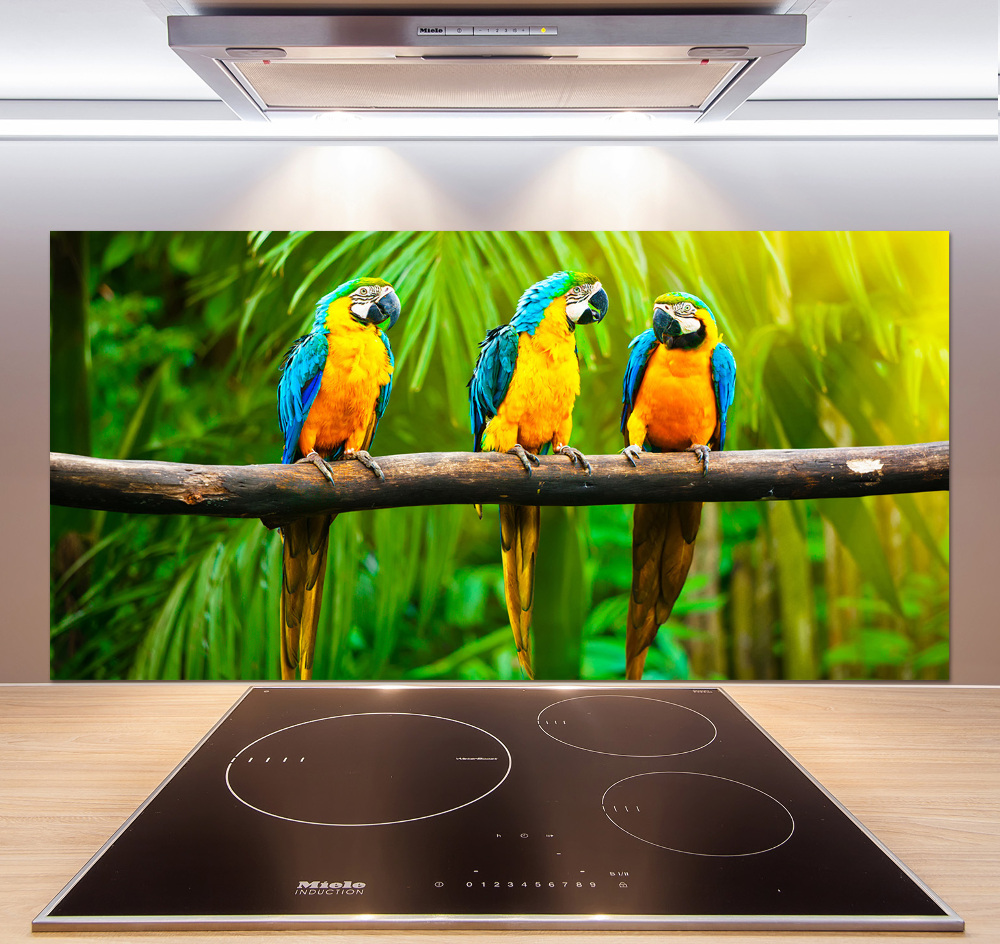 Cooker splashback Parrots on a branch