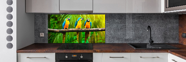 Cooker splashback Parrots on a branch