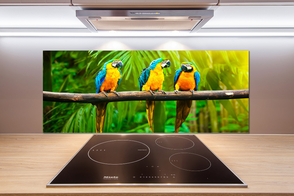 Cooker splashback Parrots on a branch