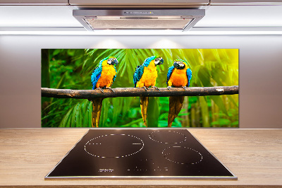 Cooker splashback Parrots on a branch