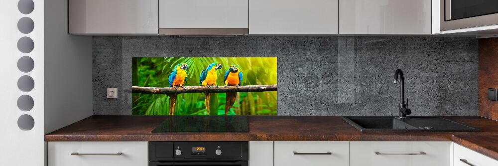 Cooker splashback Parrots on a branch