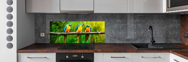 Cooker splashback Parrots on a branch