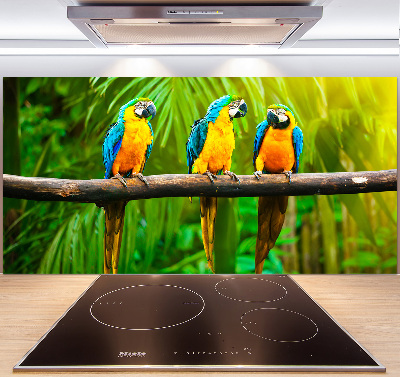 Cooker splashback Parrots on a branch