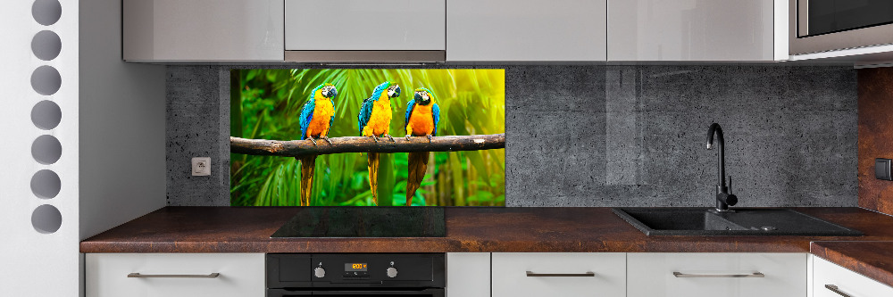 Cooker splashback Parrots on a branch