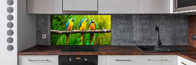 Cooker splashback Parrots on a branch