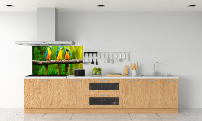 Cooker splashback Parrots on a branch