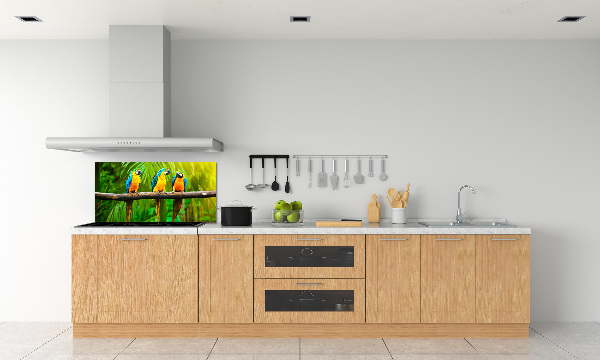 Cooker splashback Parrots on a branch