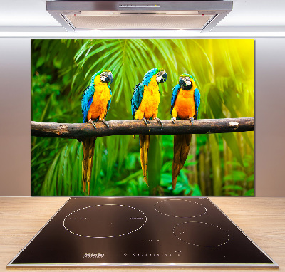 Cooker splashback Parrots on a branch