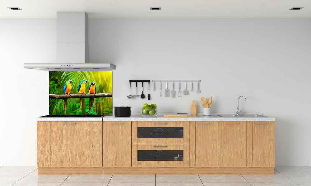 Cooker splashback Parrots on a branch