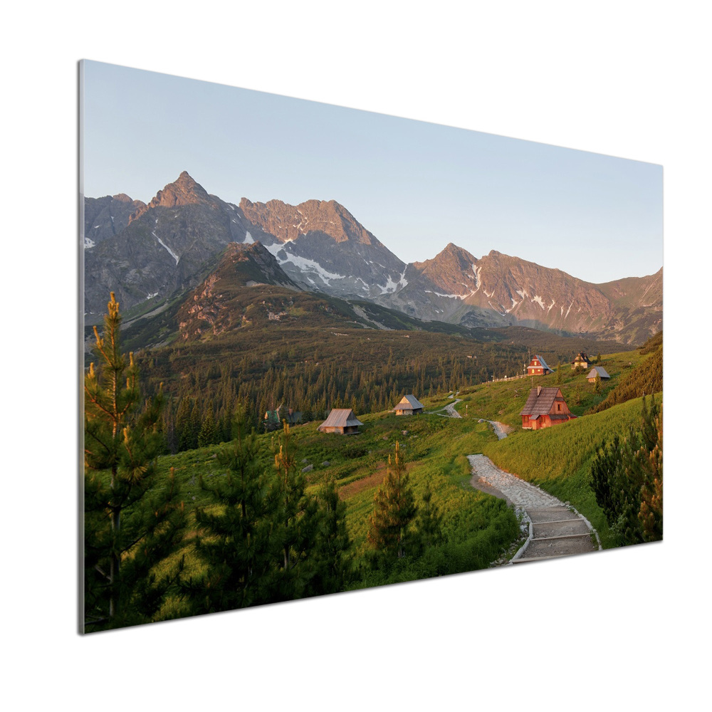 Cooker splashback Glade in the Tatra Mountains