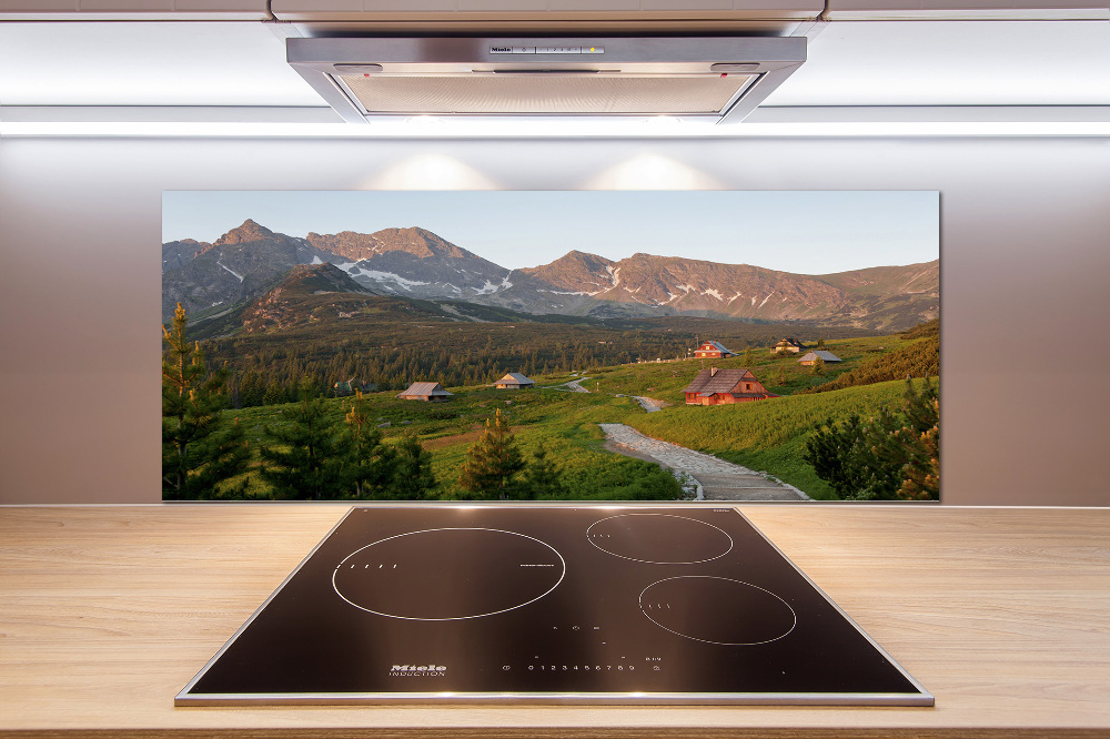 Cooker splashback Glade in the Tatra Mountains