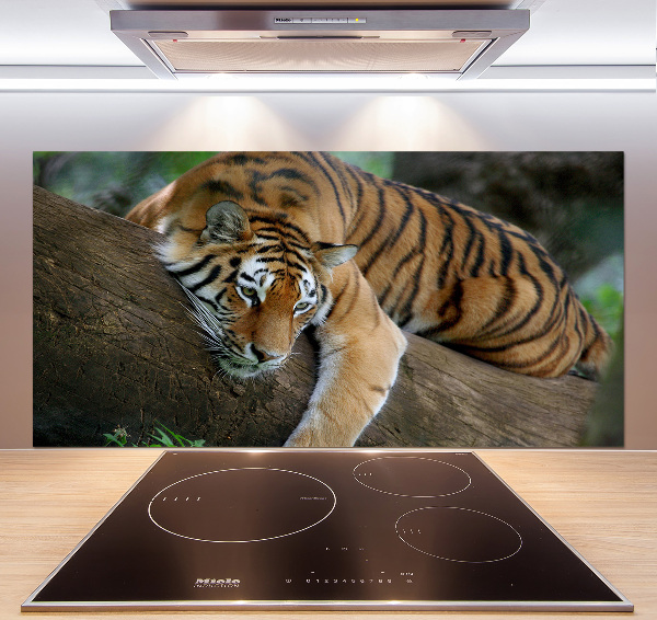 Cooker splashback Tiger on a tree