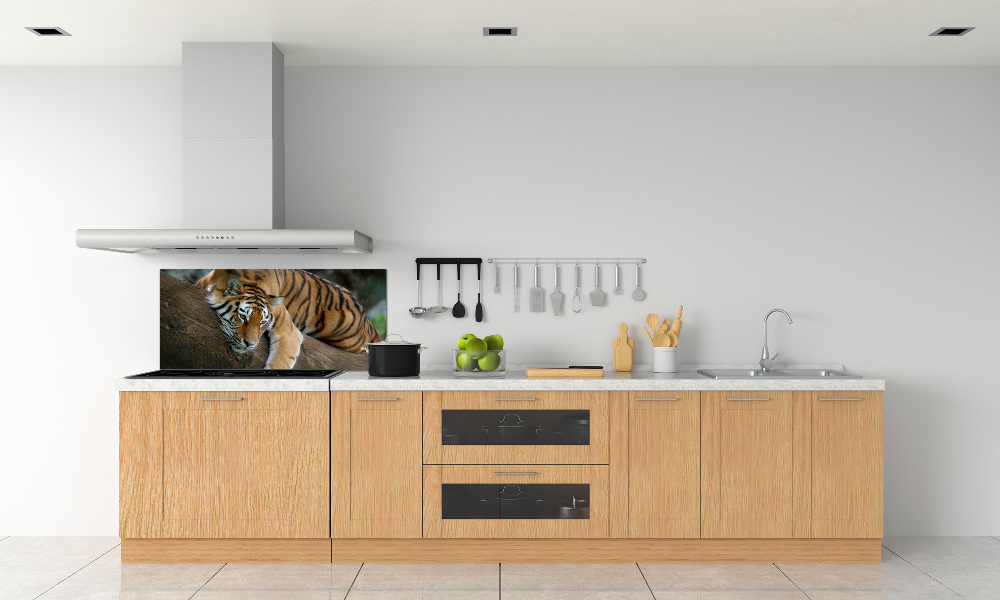 Cooker splashback Tiger on a tree