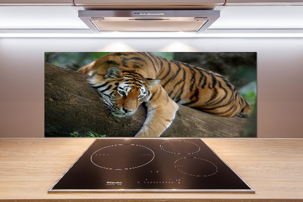 Cooker splashback Tiger on a tree