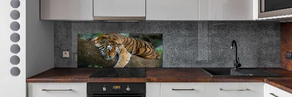 Cooker splashback Tiger on a tree