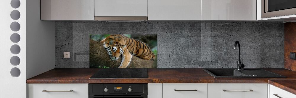 Cooker splashback Tiger on a tree