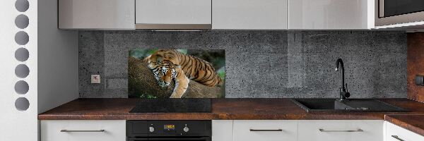 Cooker splashback Tiger on a tree