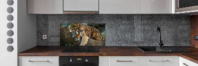 Cooker splashback Tiger on a tree