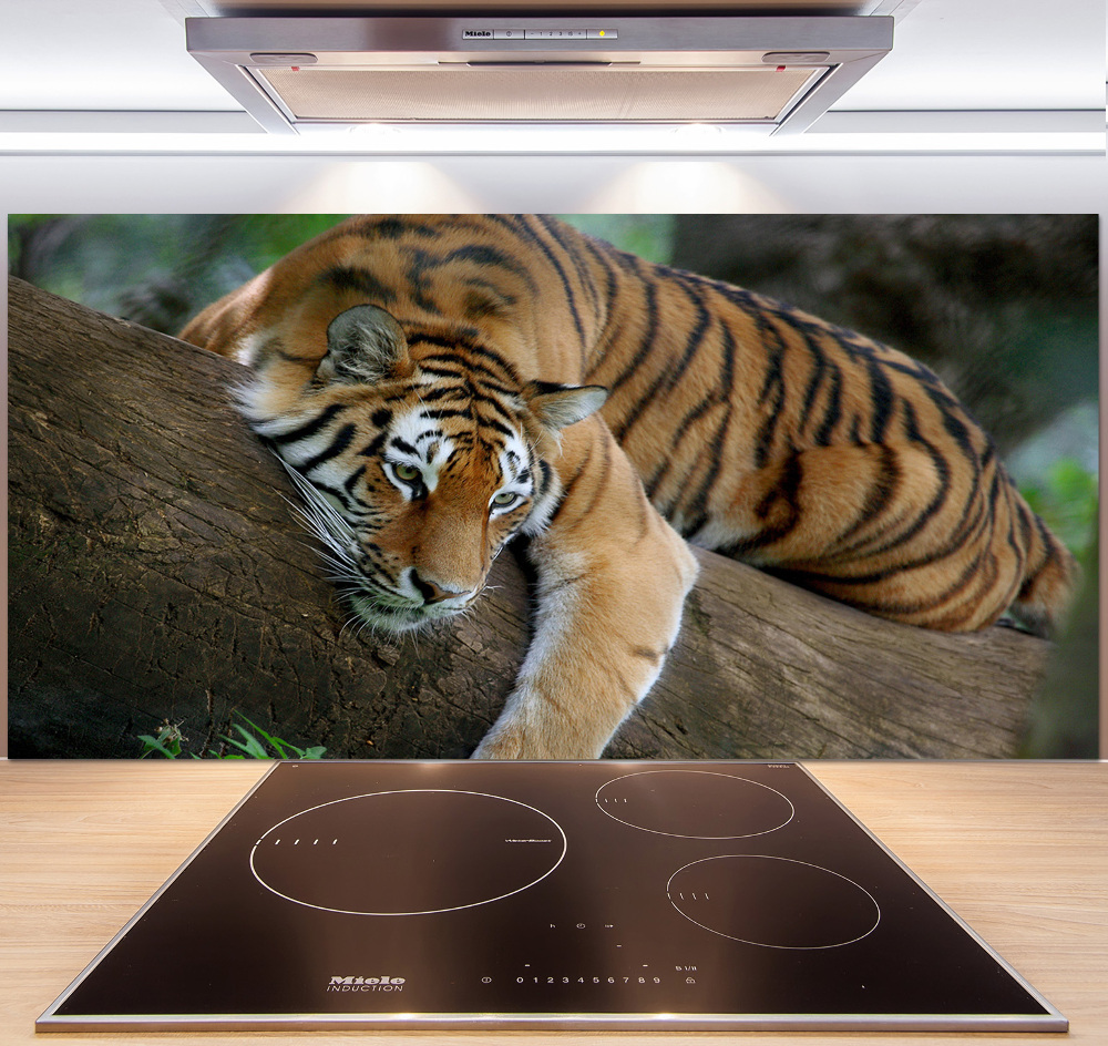 Cooker splashback Tiger on a tree