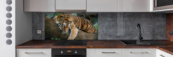 Cooker splashback Tiger on a tree