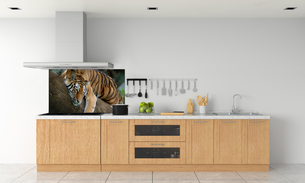 Cooker splashback Tiger on a tree