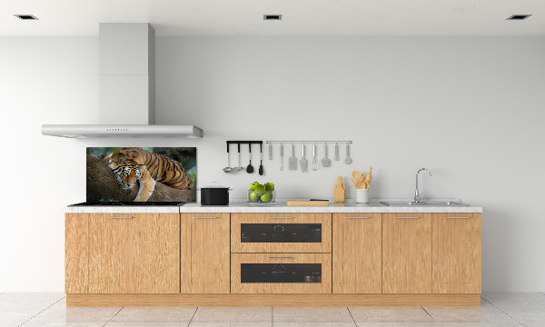 Cooker splashback Tiger on a tree