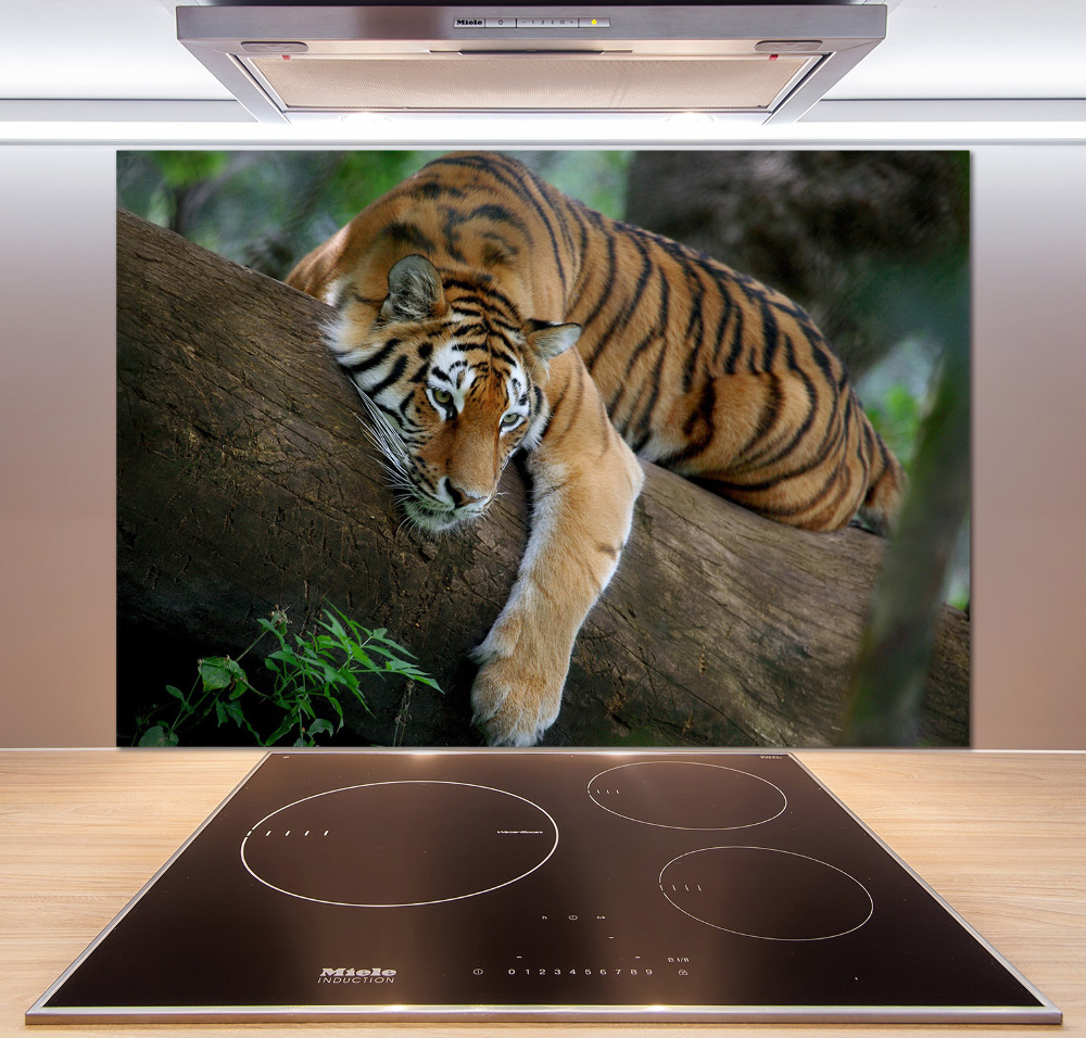 Cooker splashback Tiger on a tree