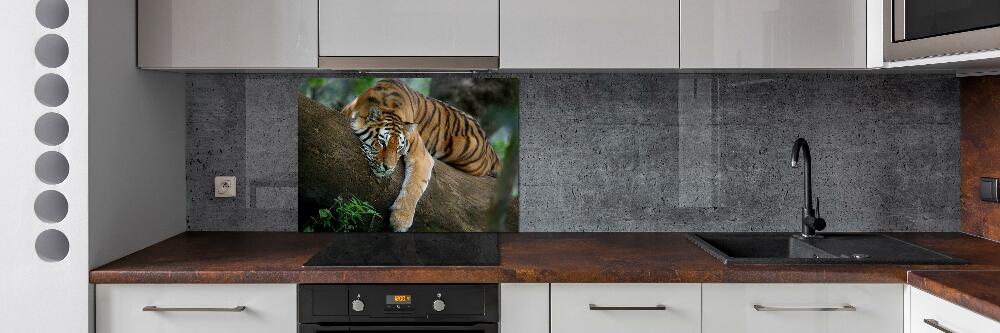 Cooker splashback Tiger on a tree