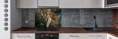 Cooker splashback Tiger on a tree