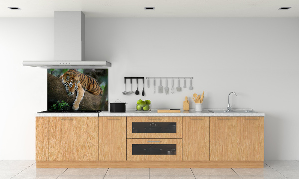 Cooker splashback Tiger on a tree