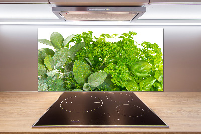 Cooker splashback Herbs