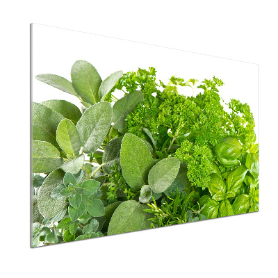 Cooker splashback Herbs