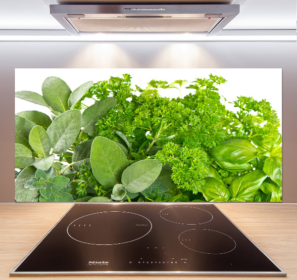 Cooker splashback Herbs