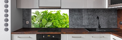 Cooker splashback Herbs