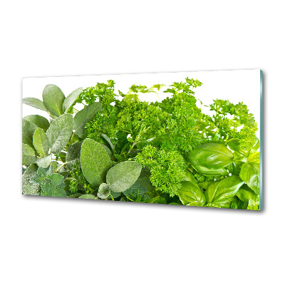 Cooker splashback Herbs